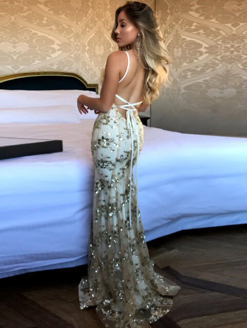 Charlotte – Hot Sequin Gauze Slim Fit Backless Dress | FASHILYX