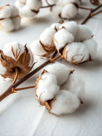 is cotton on fast fashion FASHILYX