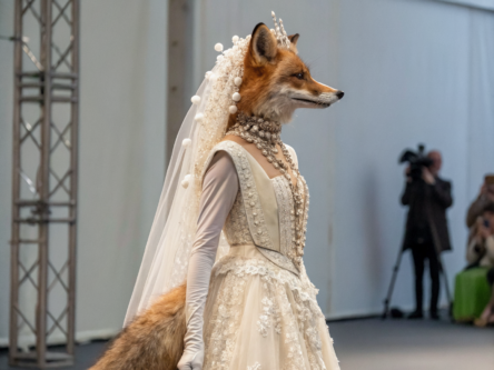 anthro weddingsfashilyx