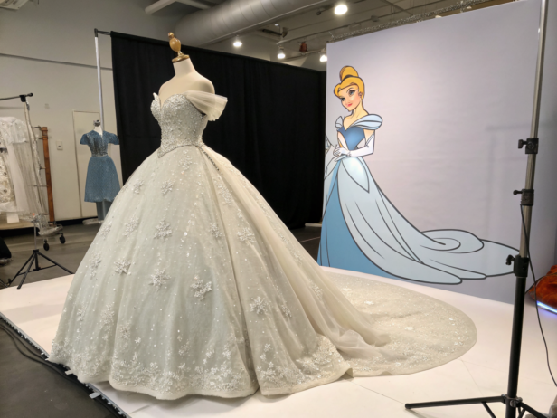 cinderella wedding dress cartoon