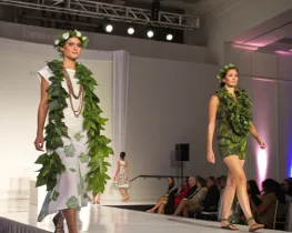 where fig leaves came into fashion